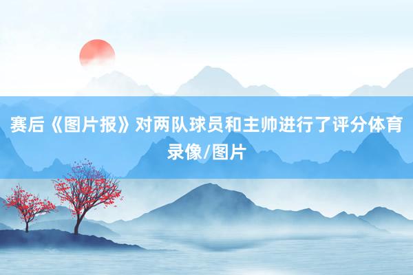 赛后《图片报》对两队球员和主帅进行了评分体育录像/图片