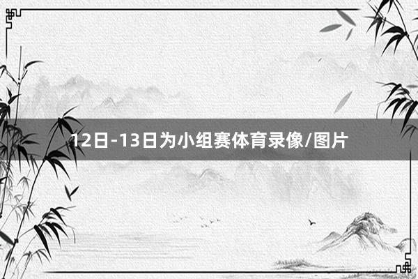 12日-13日为小组赛体育录像/图片