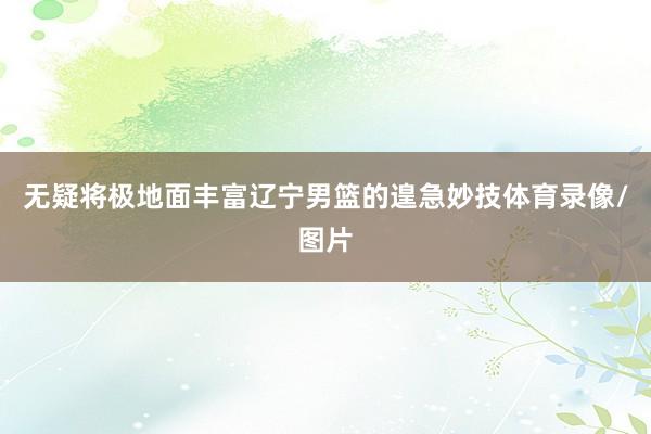 无疑将极地面丰富辽宁男篮的遑急妙技体育录像/图片